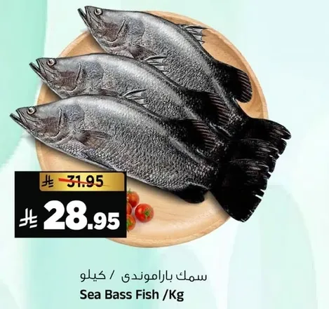 Sea Bass Fish per Kg