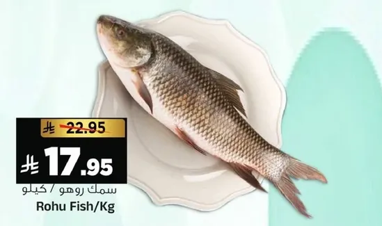 سمك روهو / كيلو