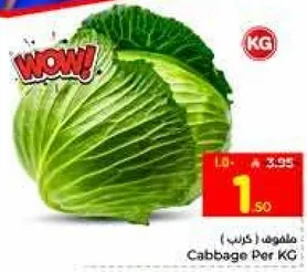 ملفوف (كرنب) لكل كيلو