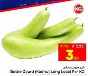 قرع طويل محلي لكل كيلو