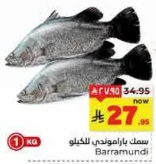 سمك باراموندي للكليو.