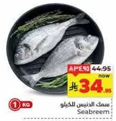 سمك الدنيس للكيلو