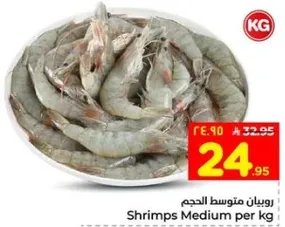 روبيان متوسط الحجم