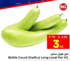 قرع طويل محلي