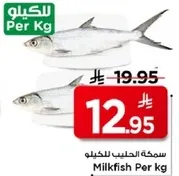 سمكه الحليب للكيلو