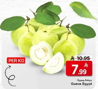 جوافه مصريه