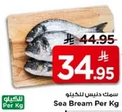 سمك دنيس للكيلو