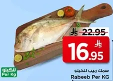 سمك ربيب للكيلو