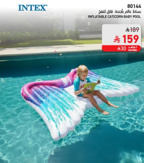 بساط عالم بانيغن قطه البحر.