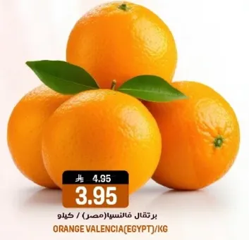 برتقال فالنسيا (مصر)