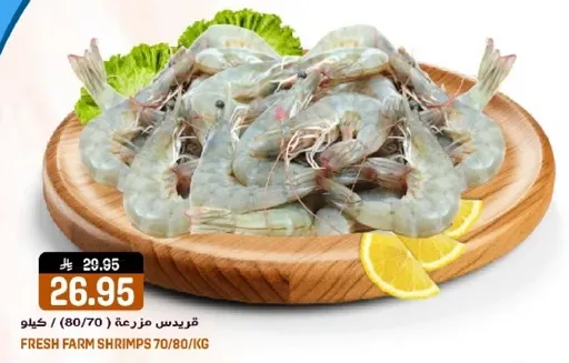 جمبري مزرعه طازج 70/80 كجم