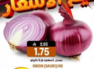 بصل (سعودي)/كيلو