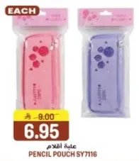 علبه اقلام SY7116