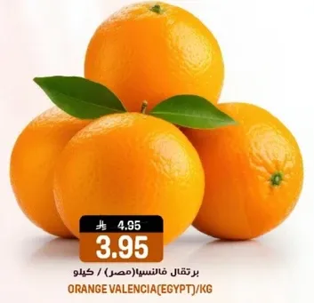 برتقال فانسيس (مصر) / كيلو