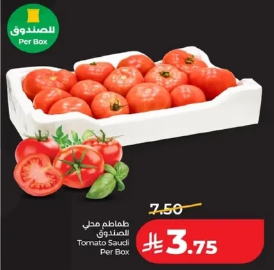 Tomato Saudi Per Box
