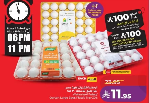 صينيه بيض كبيره قريه 30
