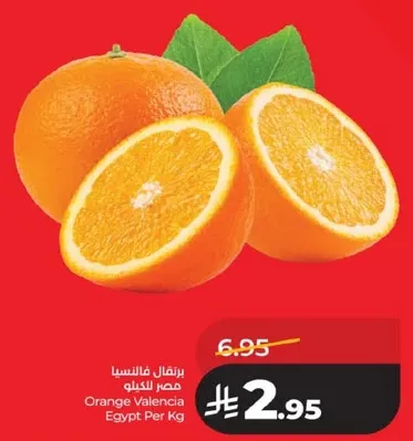 برتقال فالنسيا مصر للكيلو