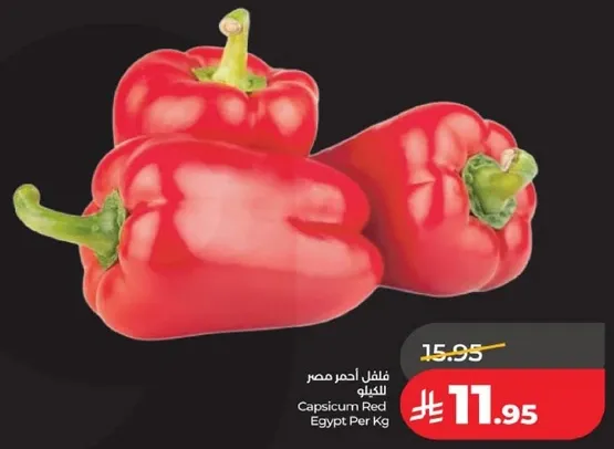 فلفل احمر مصر للكيلو