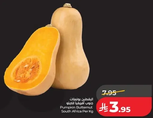 قرع بطنه جنوب افريقيا لكل كيلو