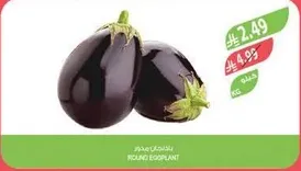 باذنجان دايري