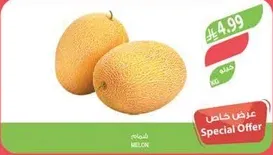 Melon