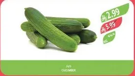 Cucumber