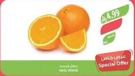 Navel Orange