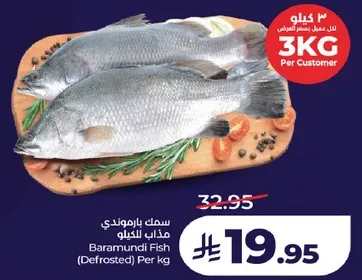 سمك باراموندي مذاب للخلو