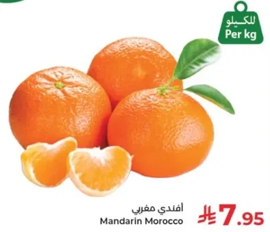 افندي مغربي