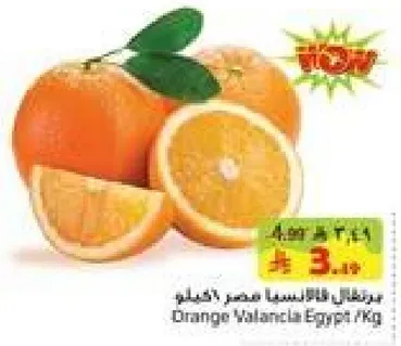 Valencia oranges, fresh and juicy.