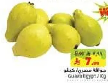 جوافه مصري / كغ