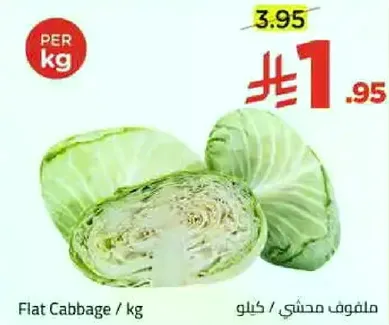 ملفوف محشي / كيلو