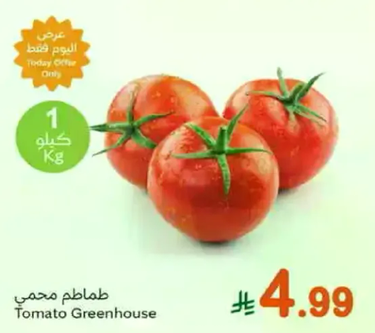 Greenhouse tomatoes