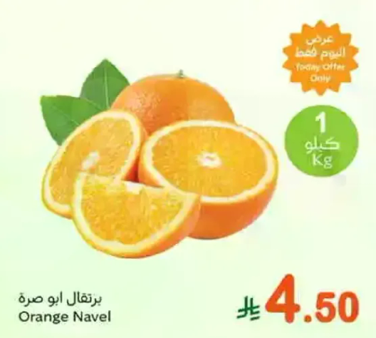 Navel Orange