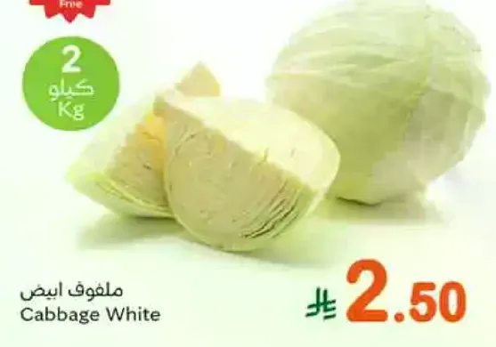 White Cabbage