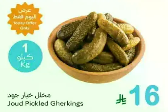Joud Pickled Gherkins