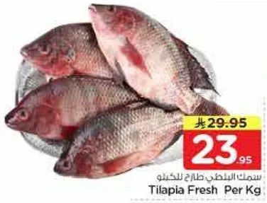 سمك البلطي الطازج للبيع بالكيلو.