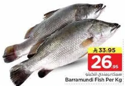 سمك برمندي للكيله