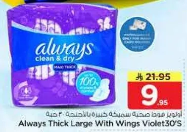 Always Thick Large With Wings Violet30's