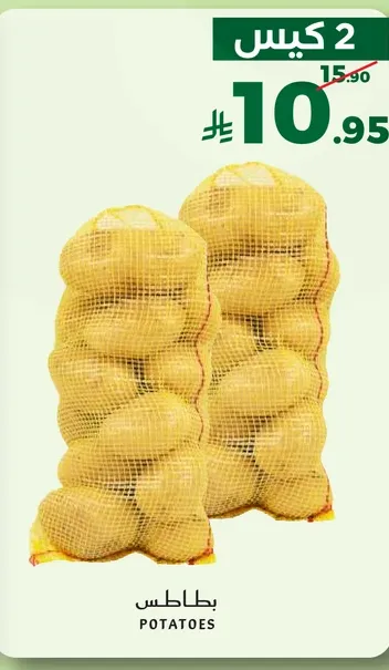 بطاطس