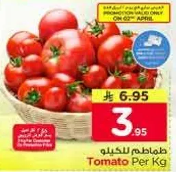 طماطم للكيو