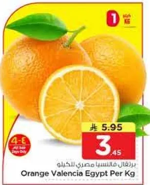 برتقال فالنشيا مصري بالكيلو