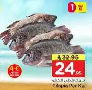 سمك البلطي بالكيلو