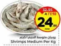 روبيان متوسط الحجم | كجم