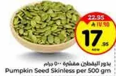 Pumpkin Seed Skinless per 500 gm