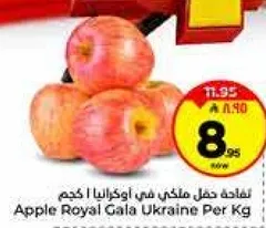 تفاح حقل ملكي في اوكرانيا | كجم