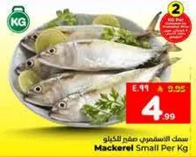 سمك الاسمري صفير للكيلو