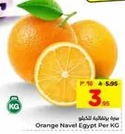 برتقال نافيل مصر لكل كيلو