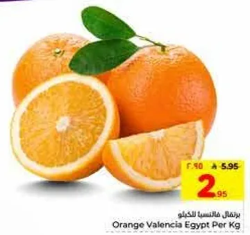 برتقال فالنسيا من مصر لكل كيلو