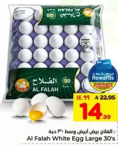 الفلاح بيض ابيض وسط 30 حبه